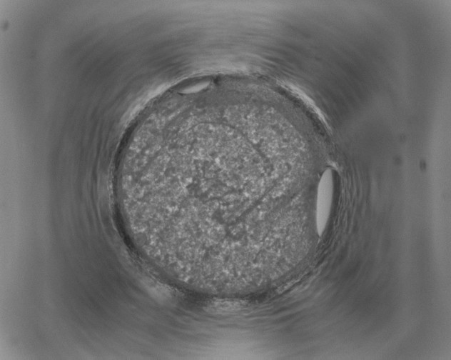 X0000064770487200603131437