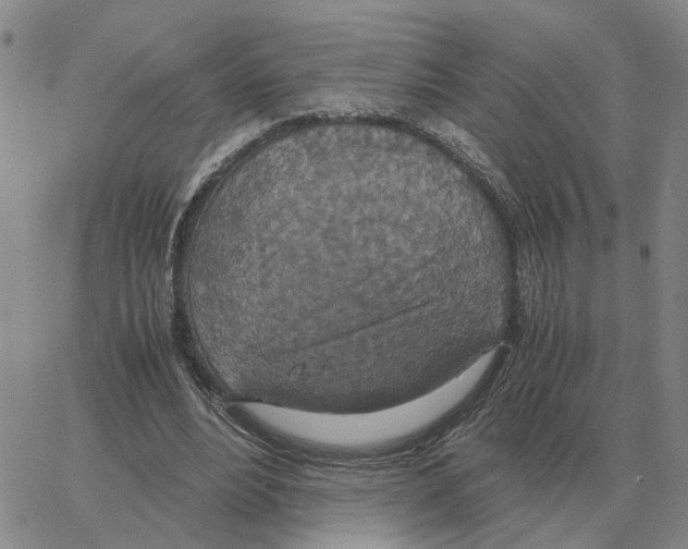 X0000064770488200603131437