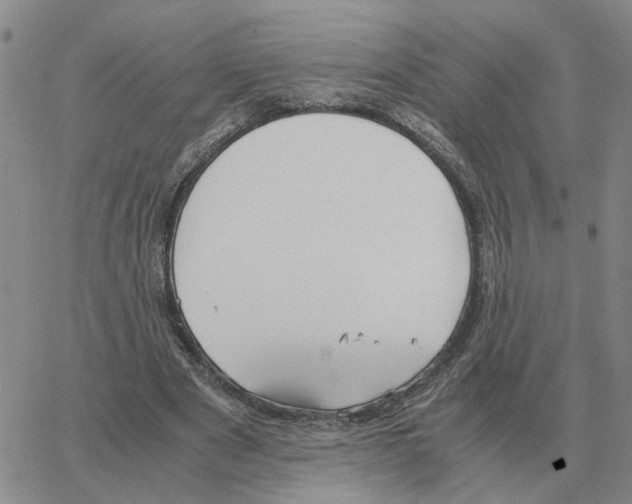 X0000064770489200603131437