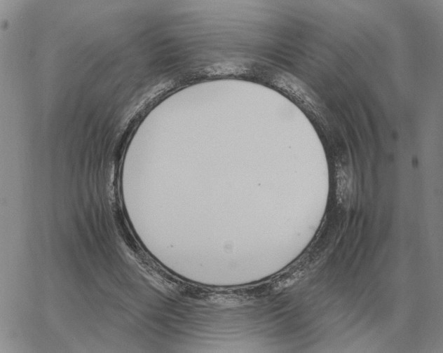 X0000064770490200603131437