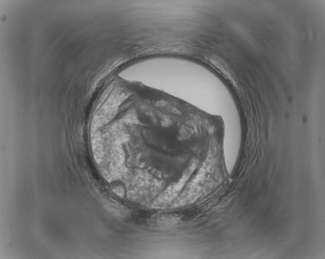 X0000064770491200603131437