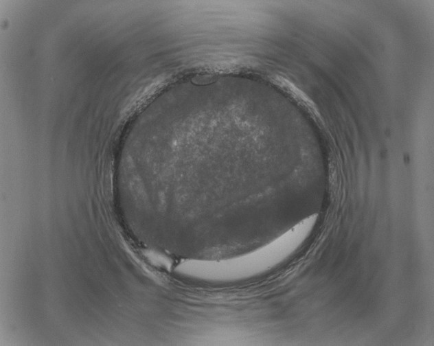 X0000064770493200603131437