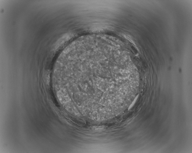 X0000064770495200603131437