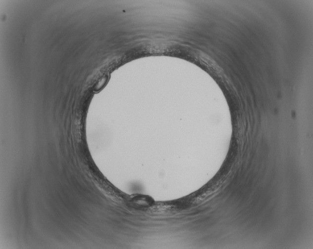 X0000064770497200603131437