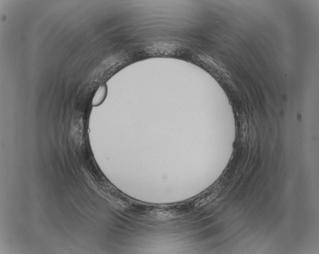 X0000064770498200603131437