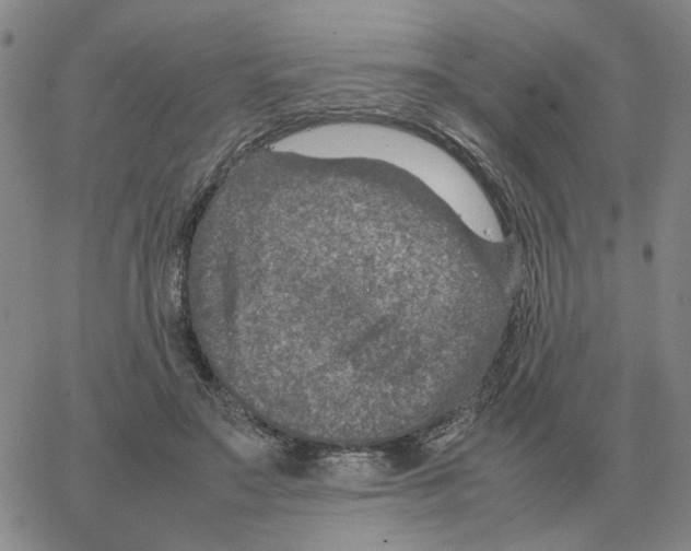 X0000064770499200603131437