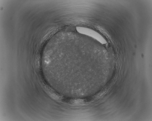 X0000064770501200603131437