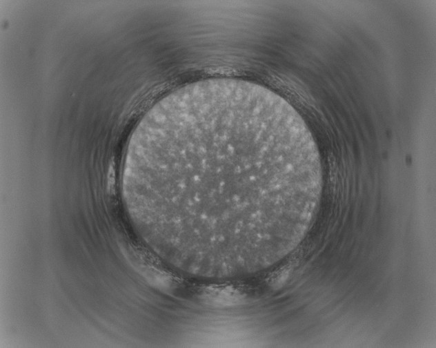 X0000064770502200603131437