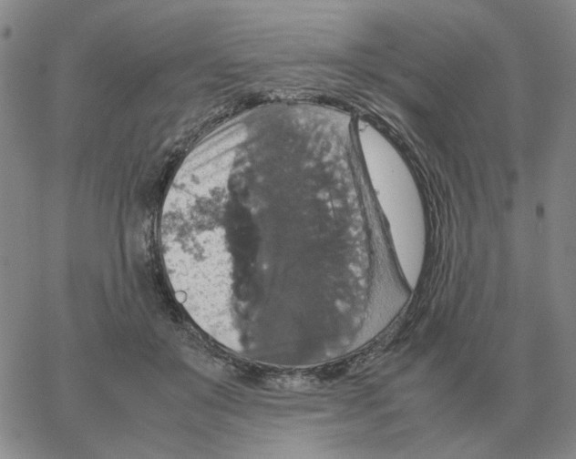 X0000064770503200603131437