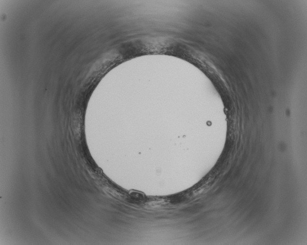 X0000064770505200603131437