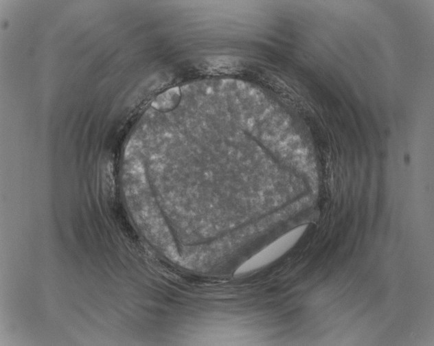 X0000064770506200603131437