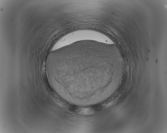 X0000064770507200603131437