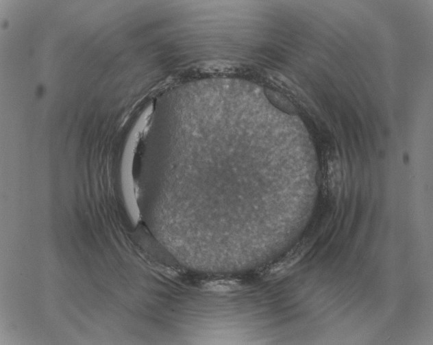 X0000064770508200603131437