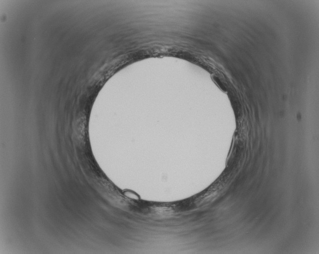 X0000064770509200603131437