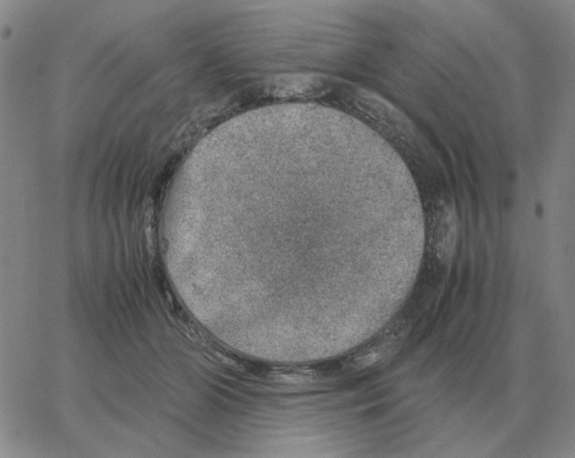 X0000064770510200603131437