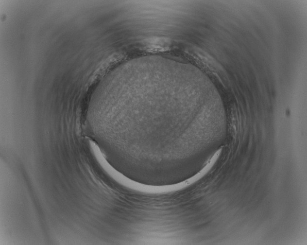 X0000064770512200603131437