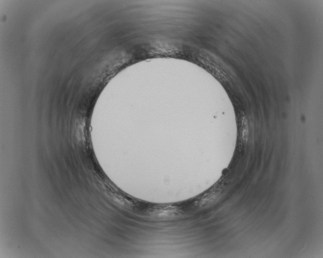 X0000064770514200603131437