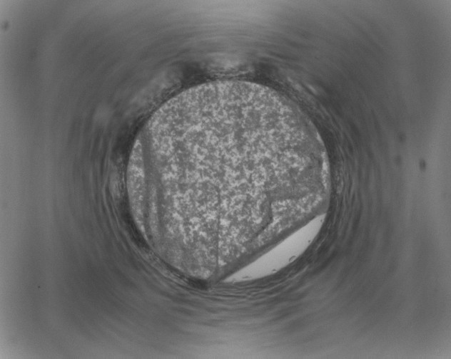 X0000064770515200603131437