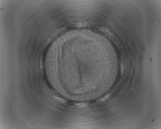 X0000064770516200603131437