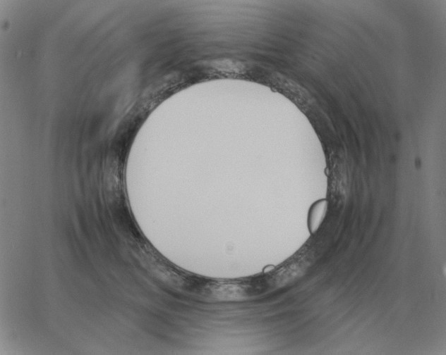 X0000064770518200603131437