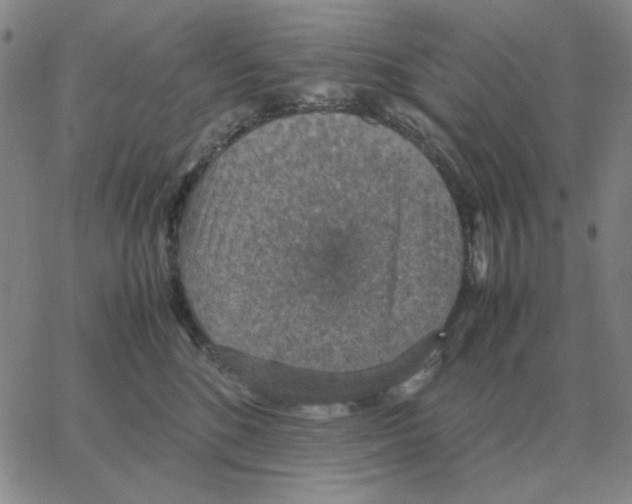 X0000064770520200603131437