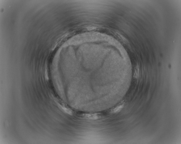 X0000064770524200603131437