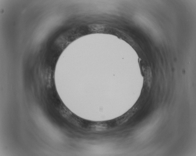 X0000064770525200603131437