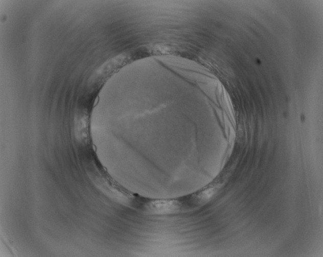 X0000064770526200603131437