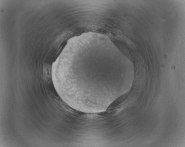 X0000064770528200603131437