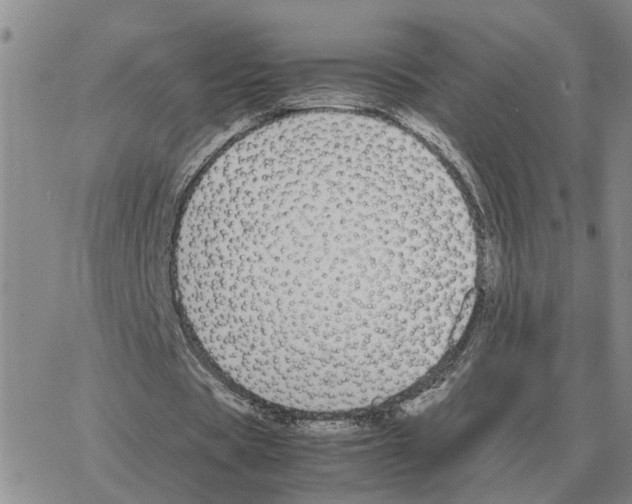 X0000064770529200603131436