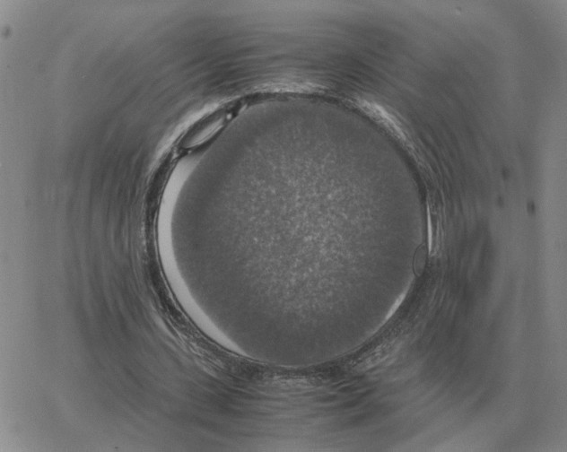 X0000064770531200603131436