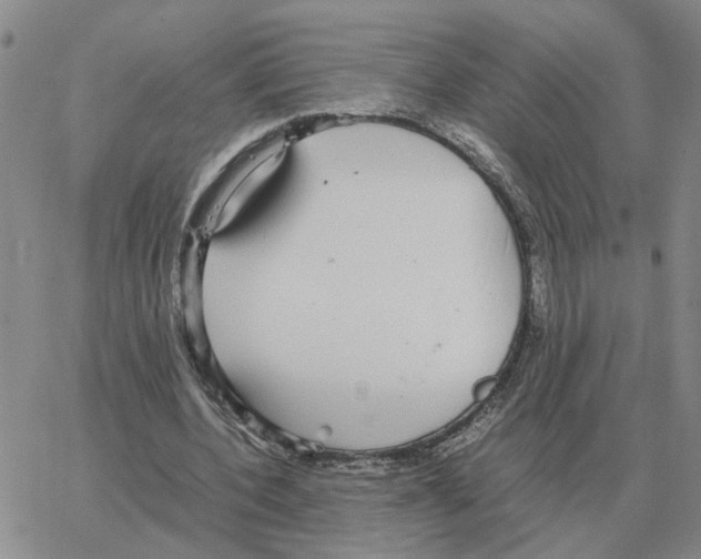 X0000064770532200603131436