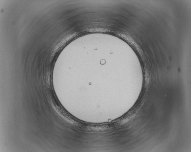 X0000064770533200603131436