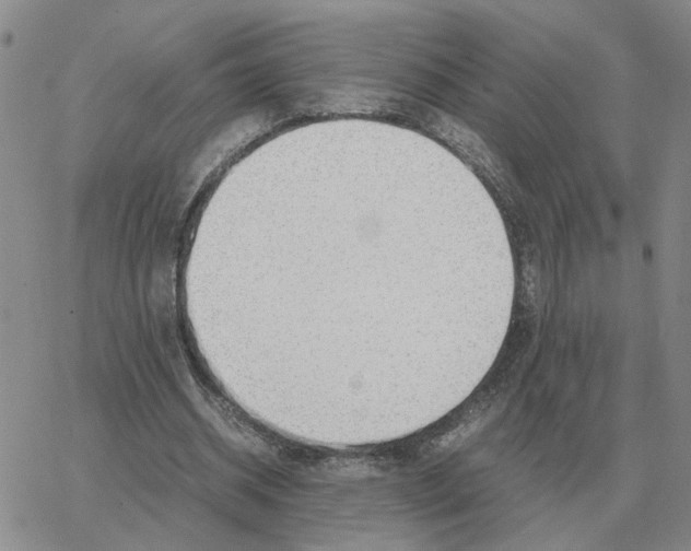 X0000064770534200603131436