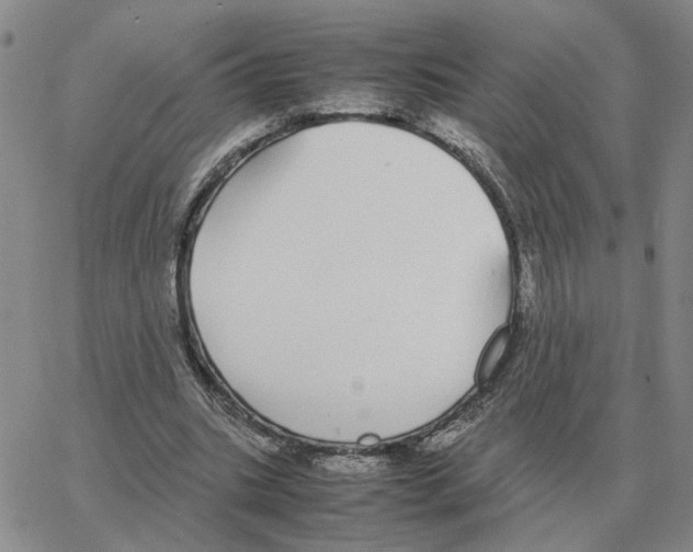 X0000064770535200603131436