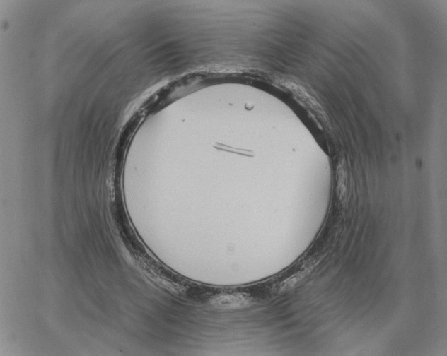 X0000064770536200603131436