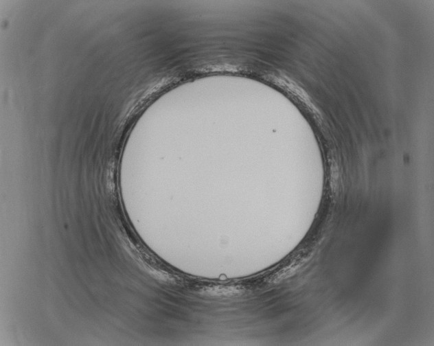 X0000064770537200603131436