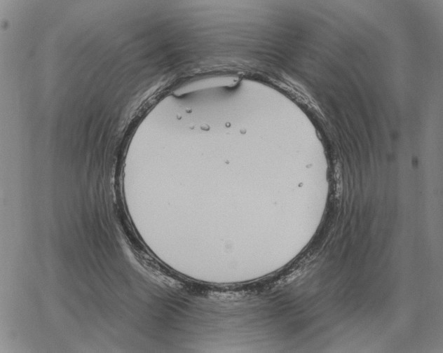 X0000064770538200603131436