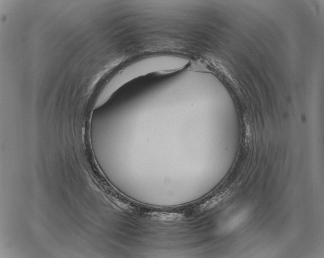 X0000064770539200603131436