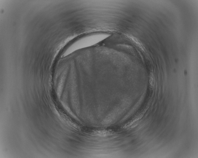 X0000064770540200603131436