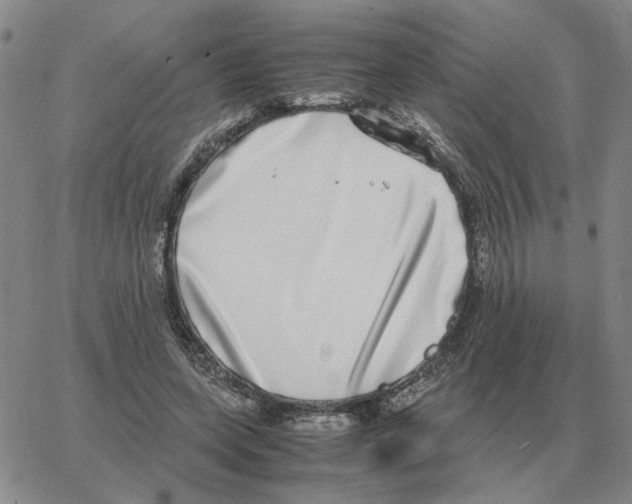 X0000064770543200603131436