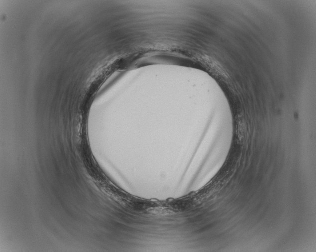 X0000064770544200603131436