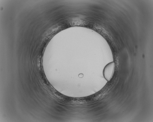 X0000064770545200603131436