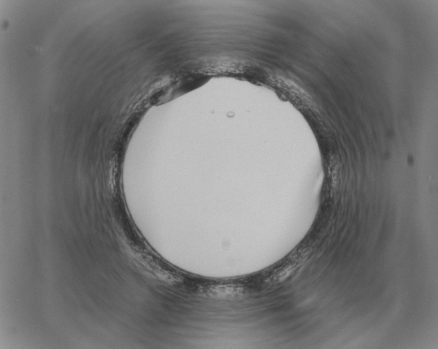 X0000064770546200603131436