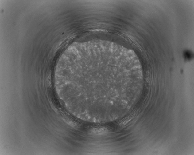 X0000064770547200603131436