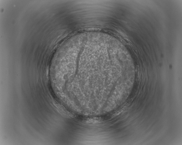 X0000064770550200603131436