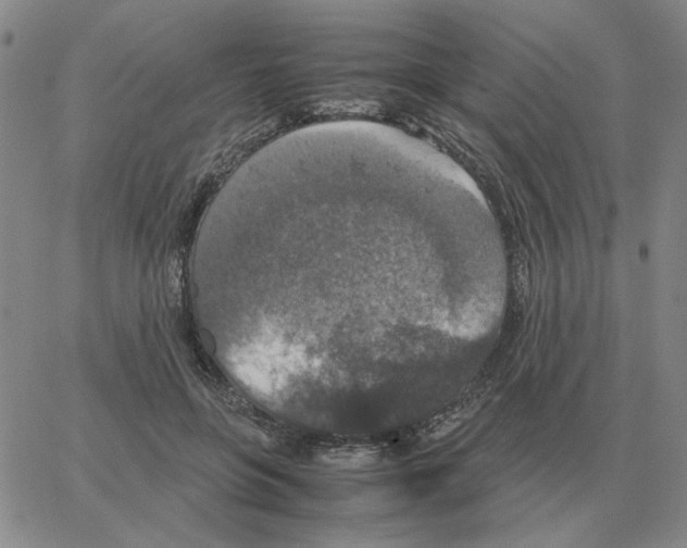 X0000064770551200603131436