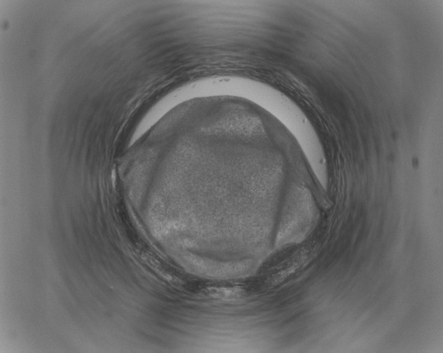 X0000064770552200603131436