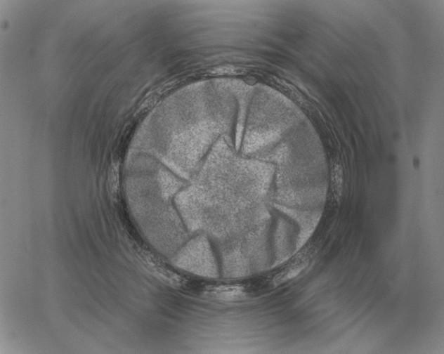 X0000064770554200603131436