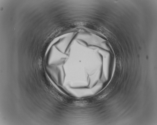 X0000064770556200603131436